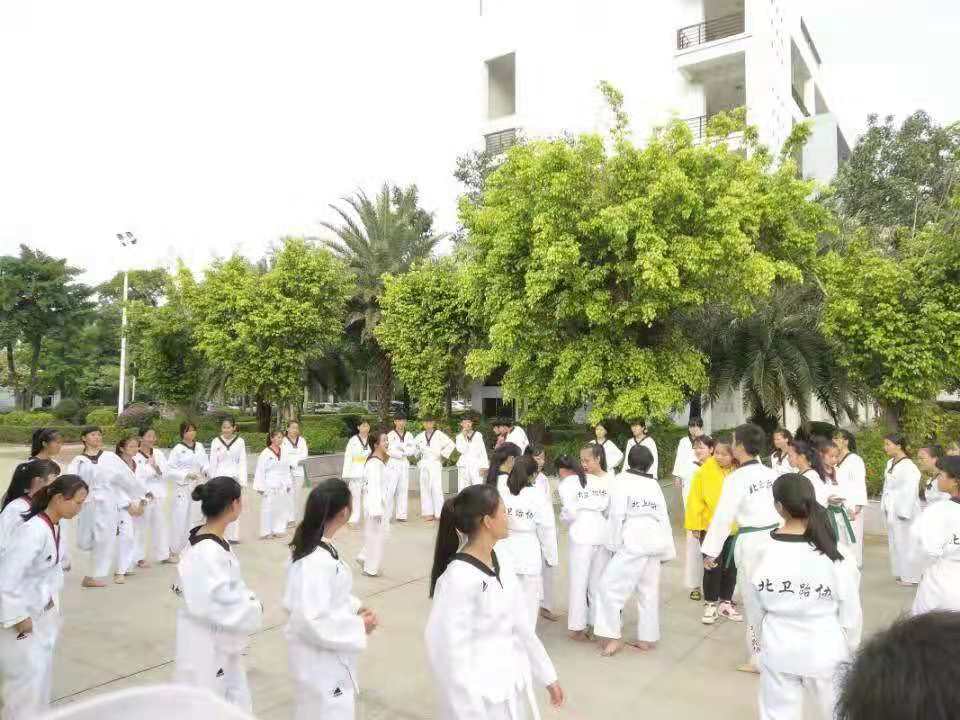 跆拳道协会套路展示.jpg